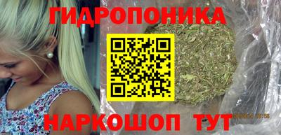 прущие грибы Кунгур